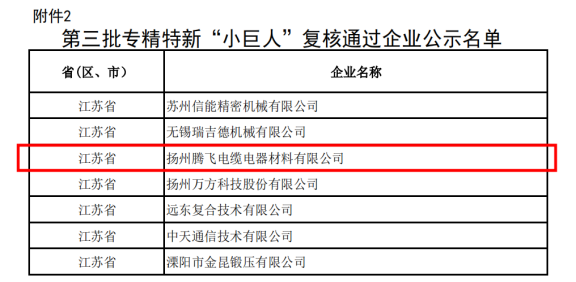 喜訊！揚州騰飛成功通過國家級專精特新“小巨人”企業復核