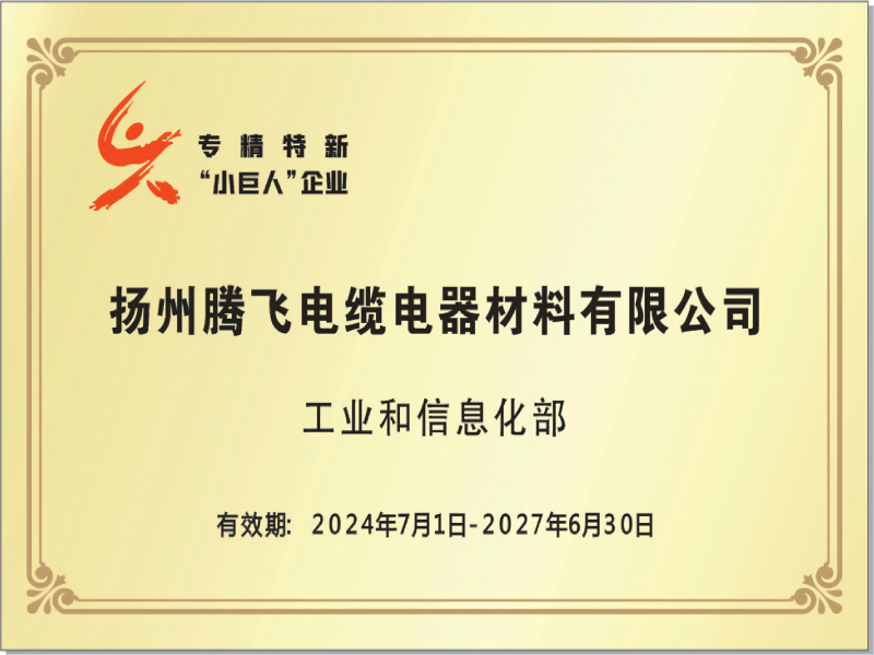 專精特新“小巨人”企業